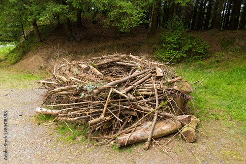 Replica Osprey nest built to model those found in trees