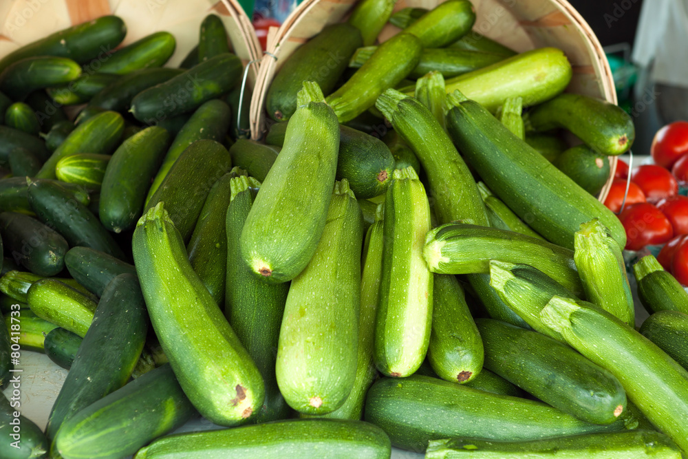 Green Zucchini Squash