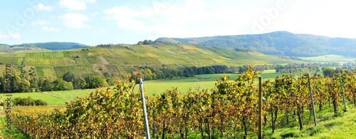 Weinlandschaft zwischen Brauneberg und Burgen photo