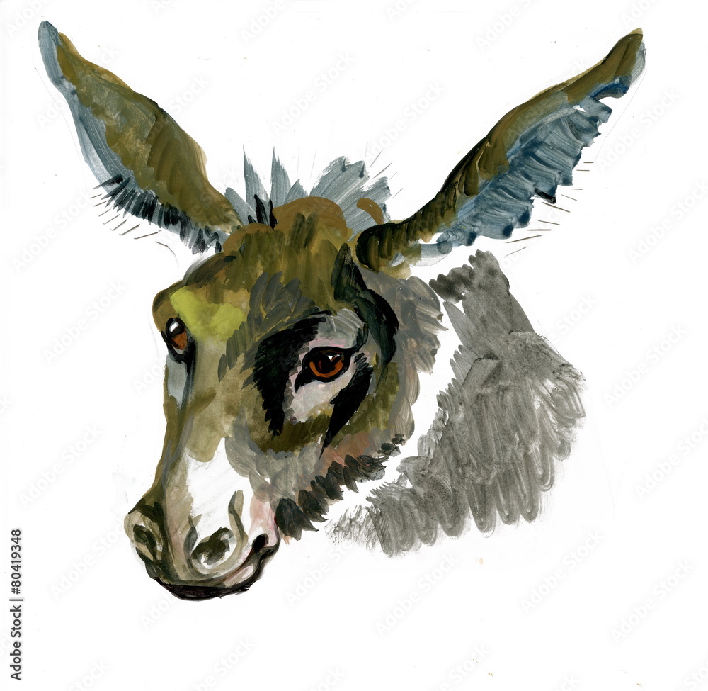 Fototapeta premium Watercolor donkey on white background