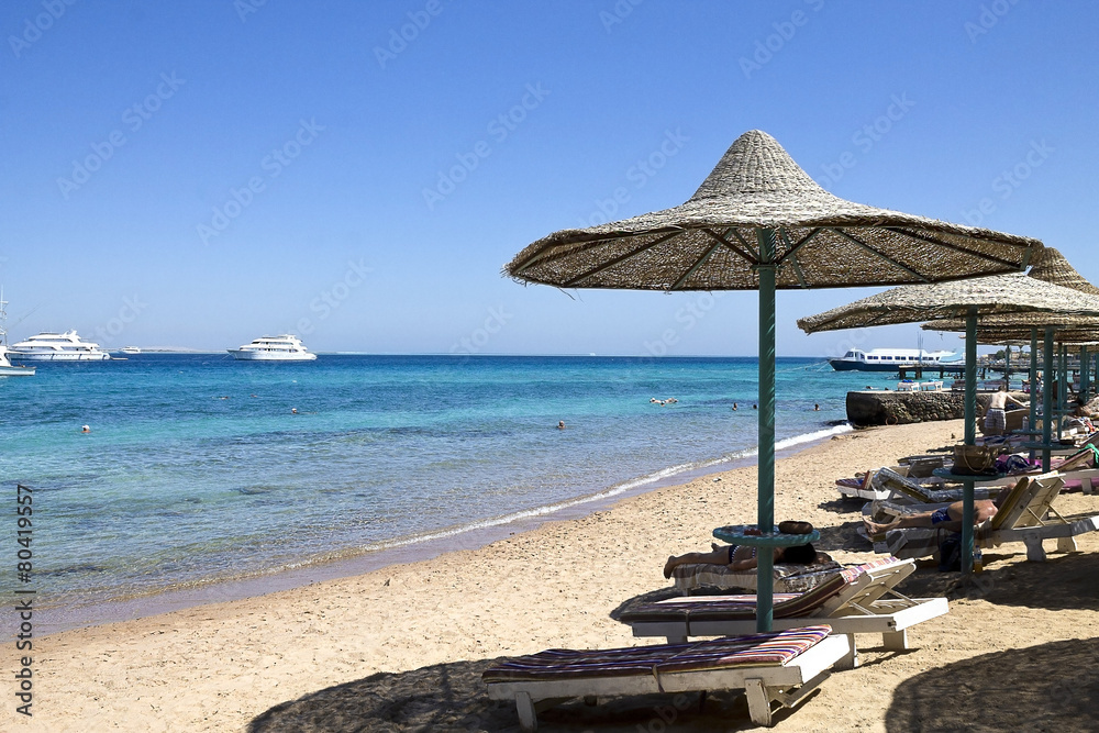 Fototapeta premium beach on the Red Sea in Egypt