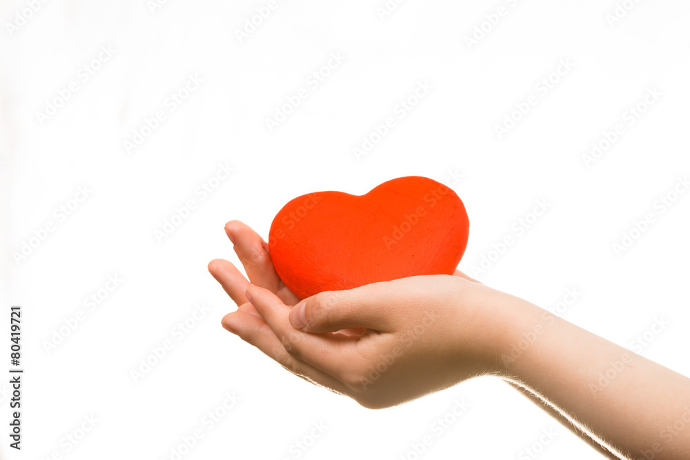 Heart in the hands isolated Heart in the hands isolated