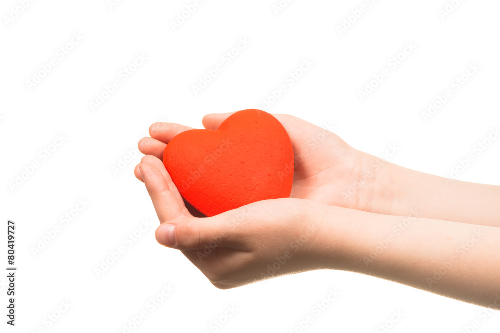 Heart in the hands isolated Heart in the hands isolated