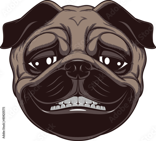 Funny dog