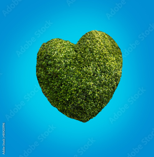 Heart made of plants