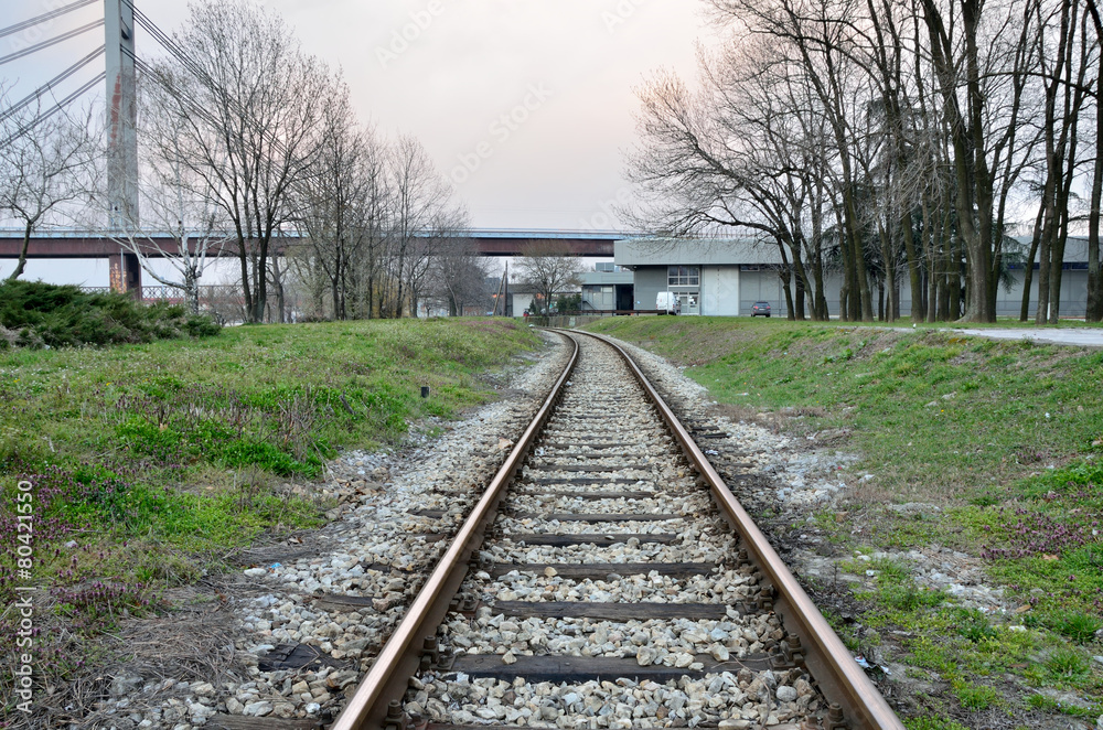 Fototapeta premium Railroad tracks