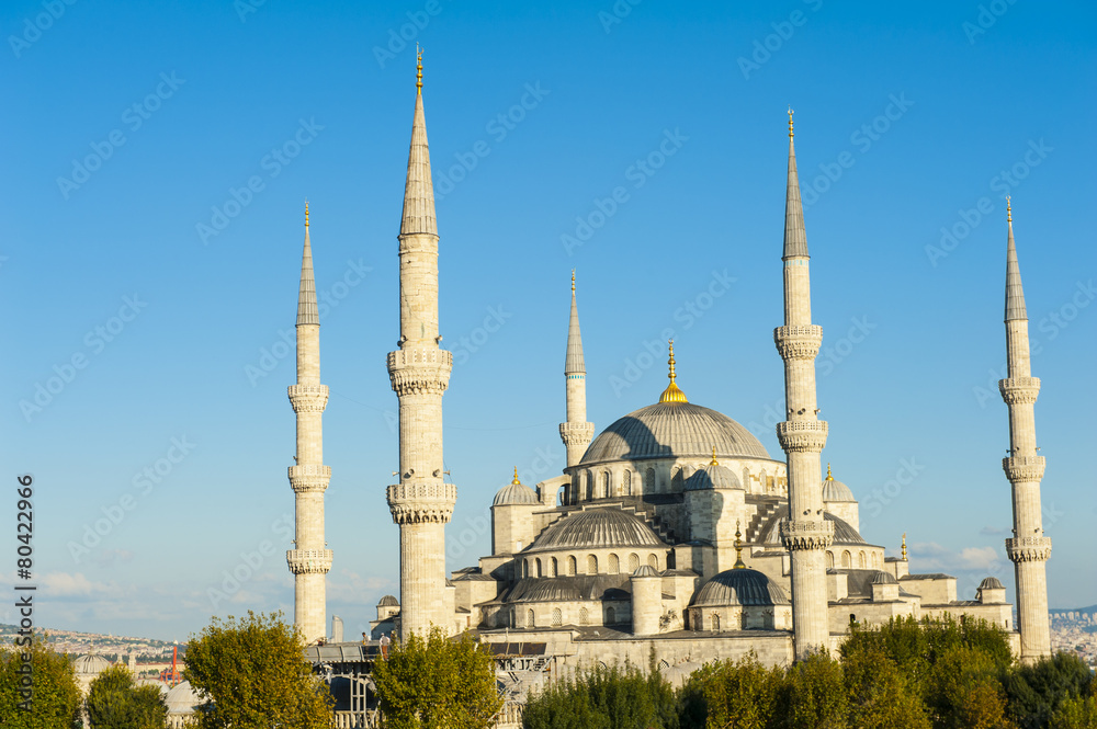 Naklejka premium Blue Mosque