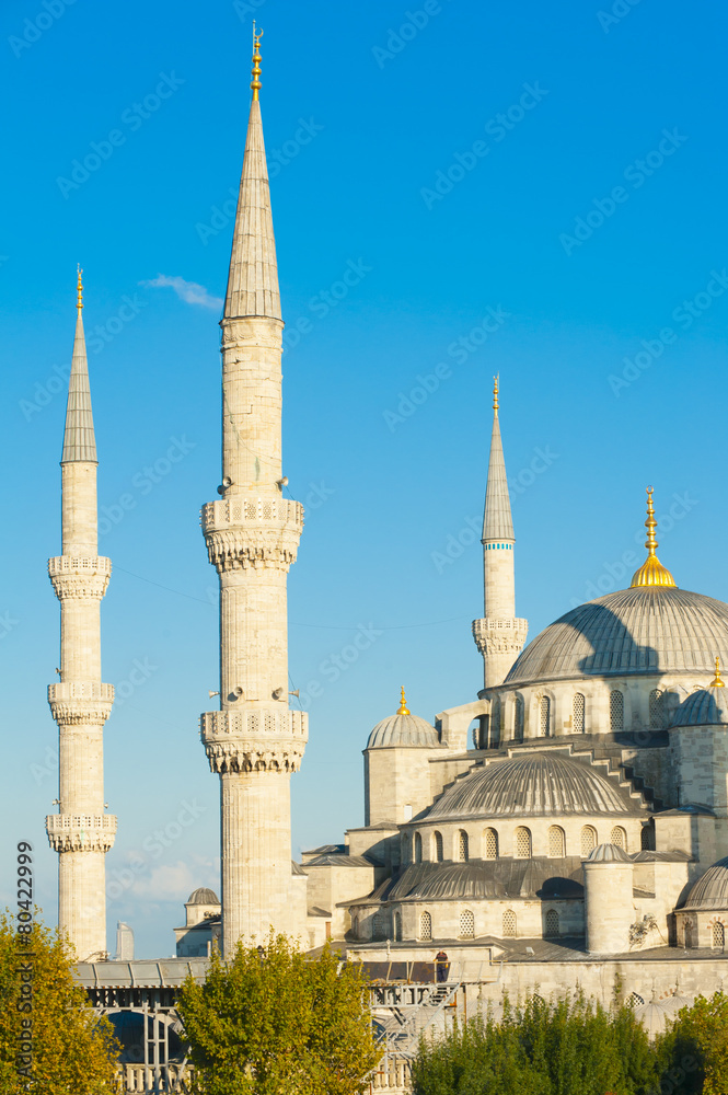 Naklejka premium Blue Mosque