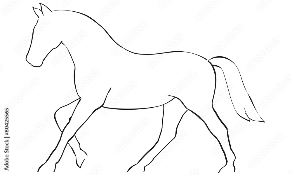 Obraz premium Pferd Reitsport