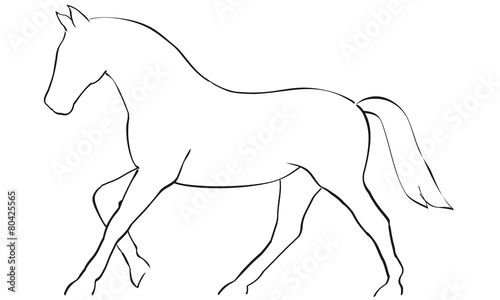 Pferd Reitsport