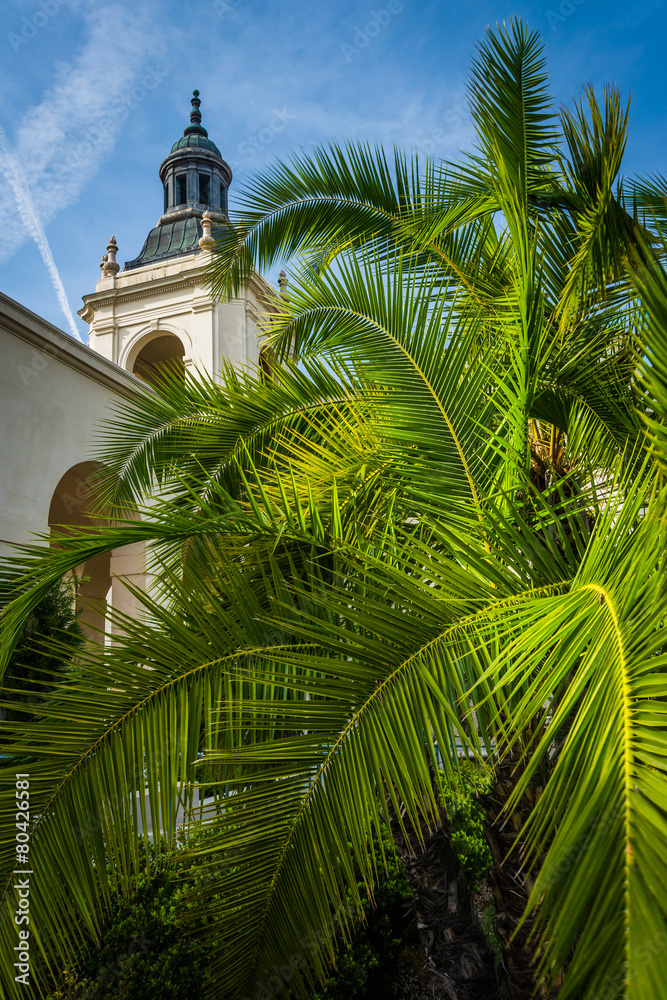 Palm tree and City Hall, in Pasadena, California.