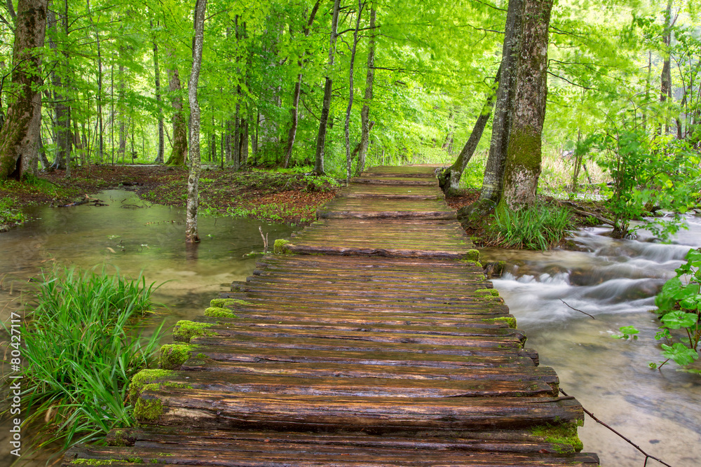 Boardwalk in the park Plitvice lakes Boardwalk in the park Plitvice lakes