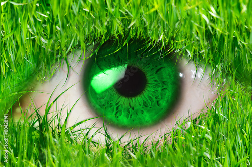 Φωτογραφία green eye