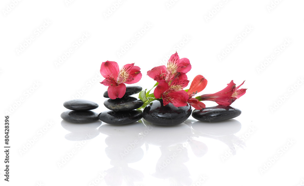 Set of beautiful red orchid on black stacked stones Set of beautiful red orchid on black stacked stones