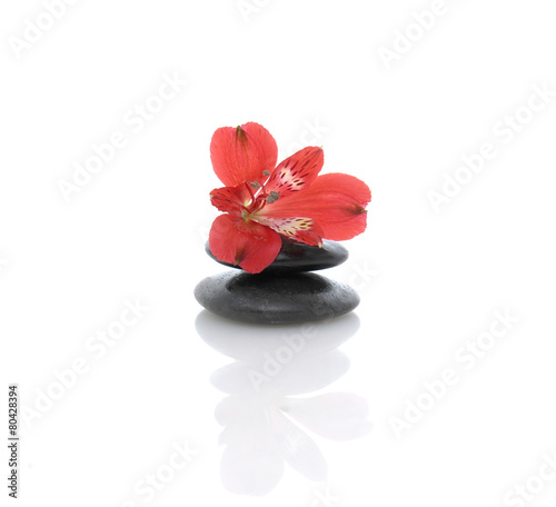Red orchid on black stones reflection