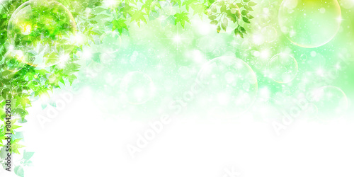 葉　新緑　背景