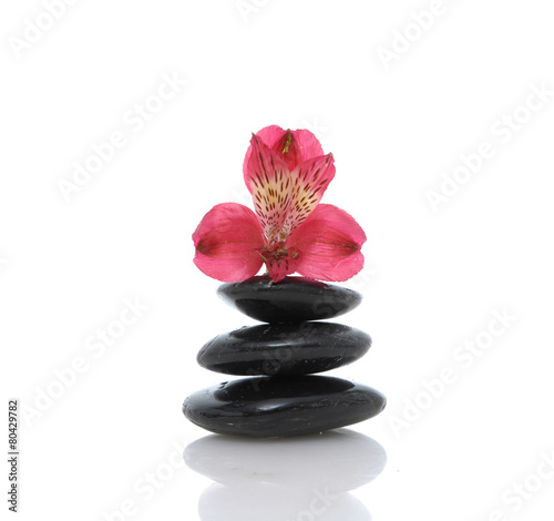 Spa concept with red orchid and black stone 