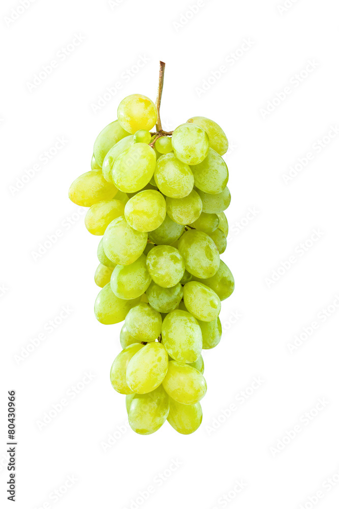 Ripe green grapes hanging against white