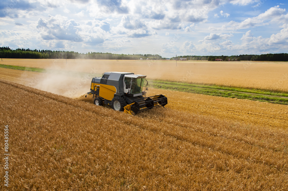 Harvesting grain aerial photo Harvesting grain aerial photo