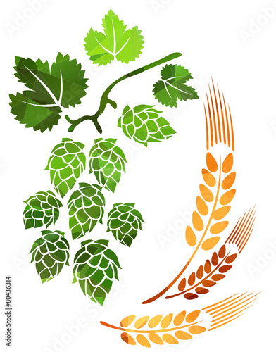 wheat ears and hop