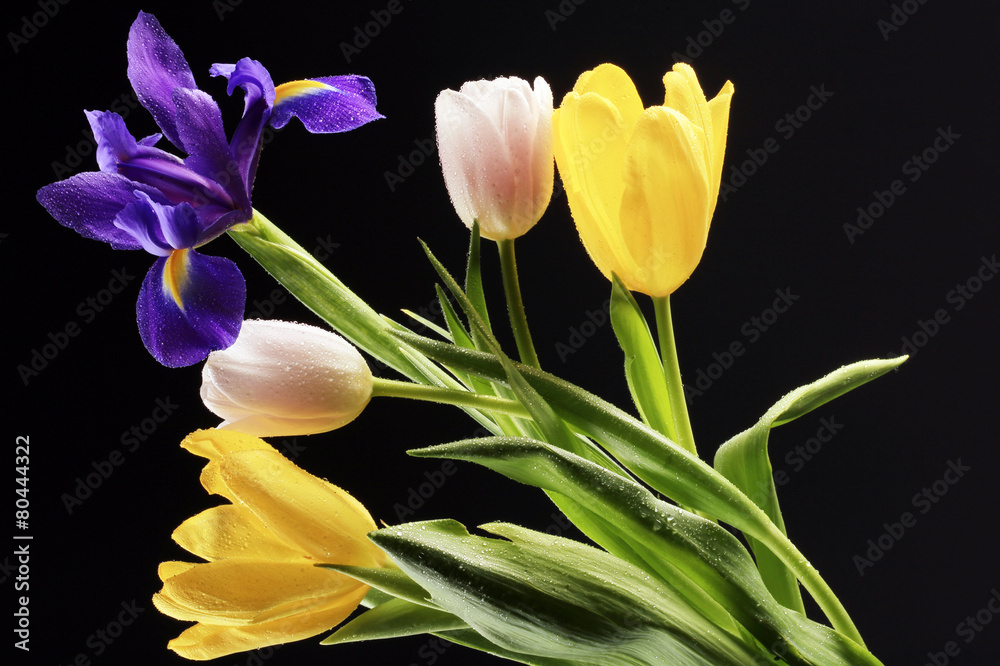 Obraz premium Tulips and irises