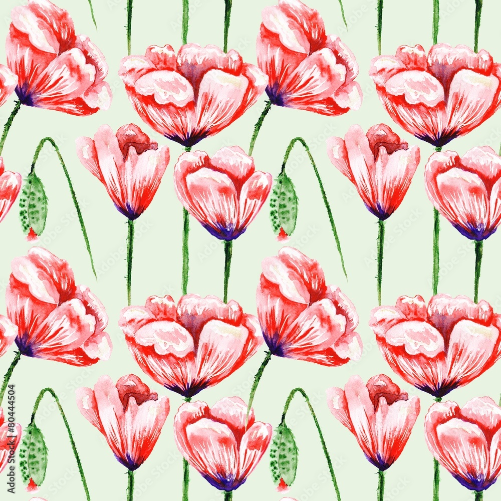 Obraz premium Eco Poppy Floral Pattern
