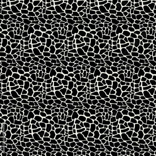Vector Illustration pattern black and white animal background
