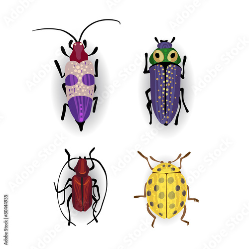 Colorful vector drawing of small beetles.