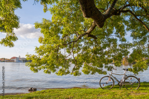 Fahrrad und Baum