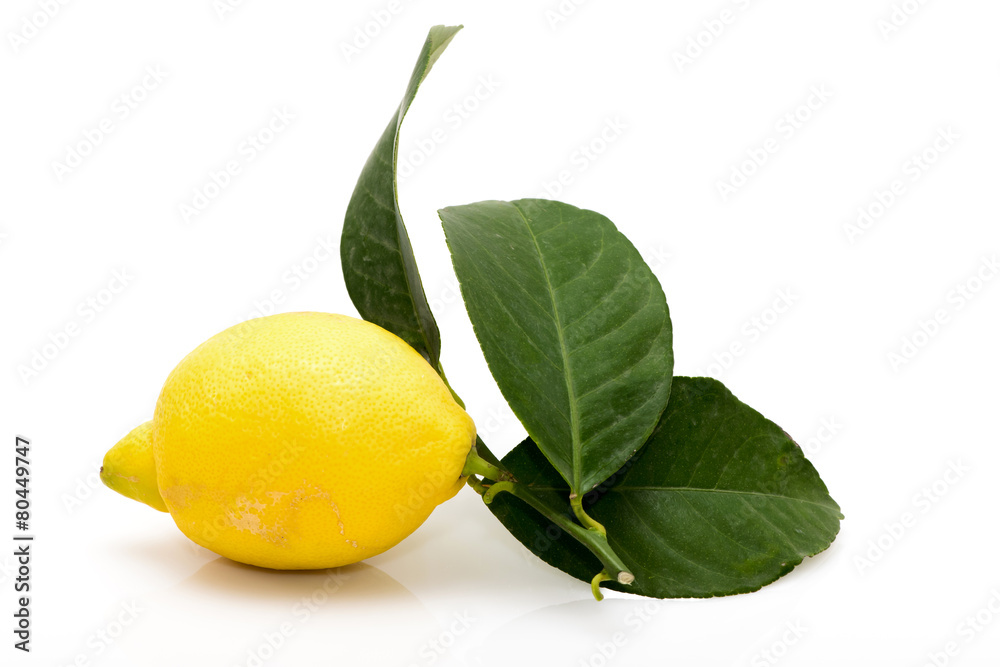 Citron feuilles