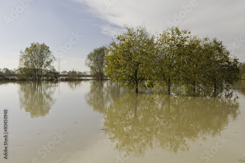 Po river in flood