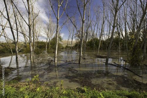 Po river in flood