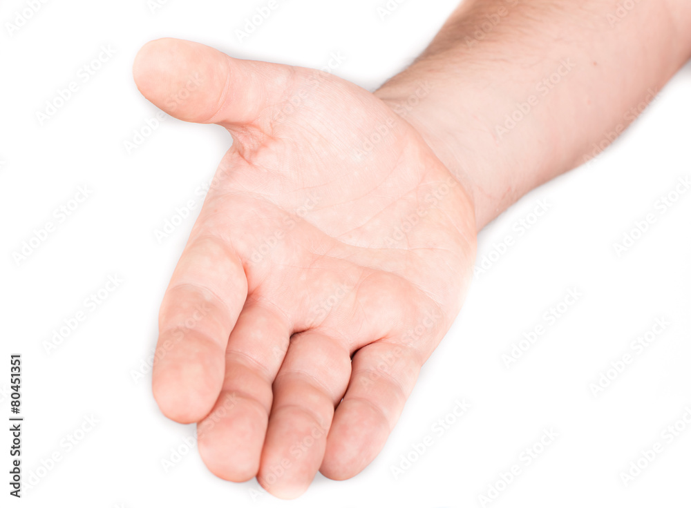Collage of woman Hands gestures set, on white background. Collage of woman Hands gestures set, on white background.