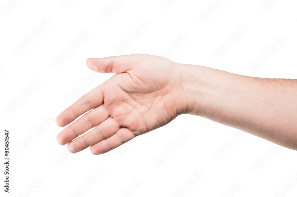 Collage of woman Hands gestures set, on white background. Collage of woman Hands gestures set, on white background.