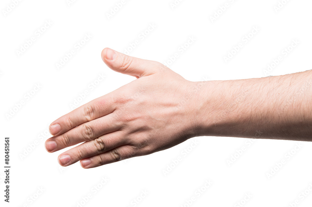 Collage of woman Hands gestures set, on white background. Collage of woman Hands gestures set, on white background.