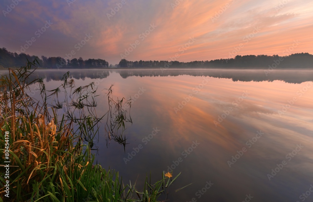 Beautiful lake sunrise landscape - obrazy, fototapety, plakaty 