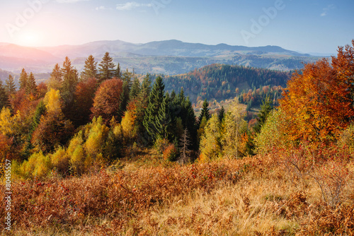 Autumn landscape