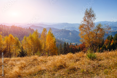 Autumn landscape © standret
