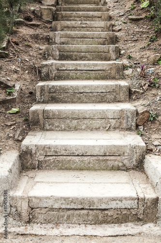 Stone stairs in the green park surrounded by beautiful flowers