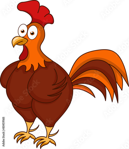Rooster