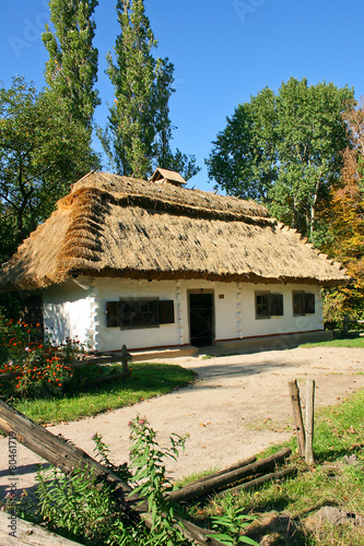 ukrainian rural cottage with a straw roof #80461719