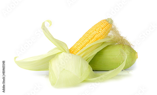 corn isolated on white background