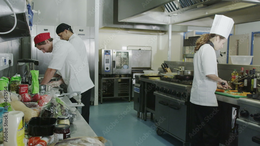 Team of professional chefs preparing food in a commercial kitchen Team of professional chefs preparing food in a commercial kitchen
