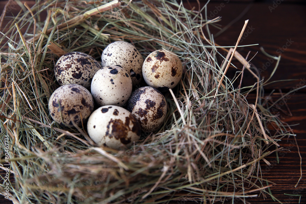 Easter quail eggs in the nest on rustic wooden background Easter quail eggs in the nest on rustic wooden background
