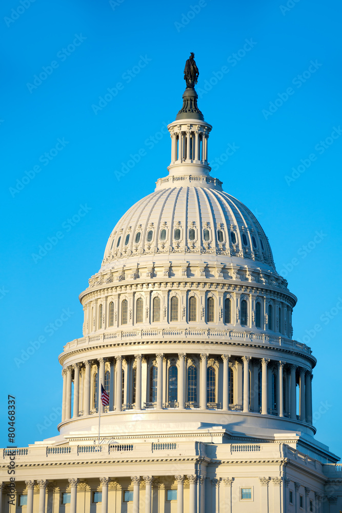 Capitol building dome Washington DC US congress