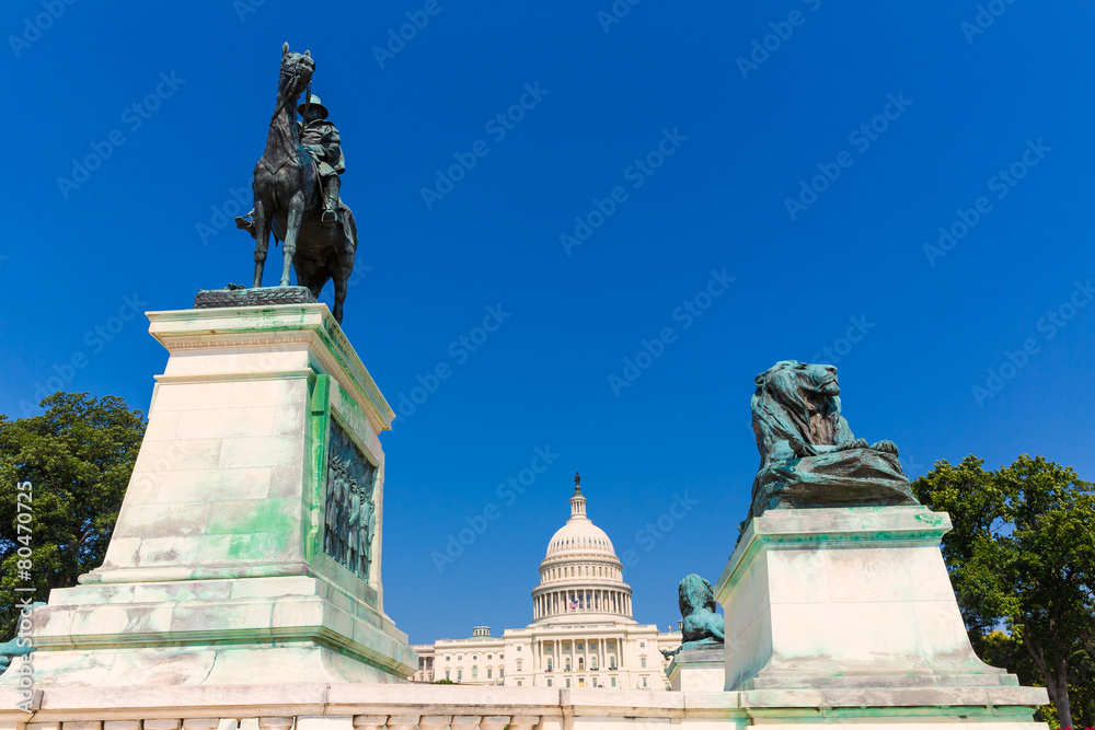 Fototapeta premium Capitol building Washington DC sunlight congress
