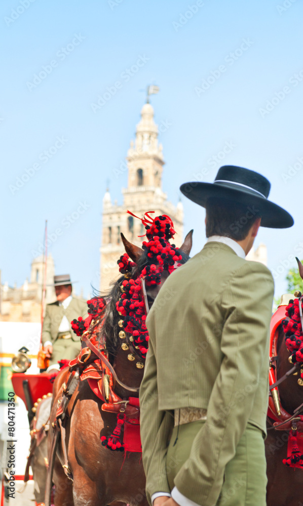 Fototapeta premium Sevilla typical