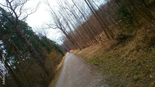 Wald Biker