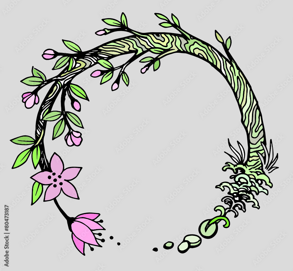 ciclo vita seme fiore