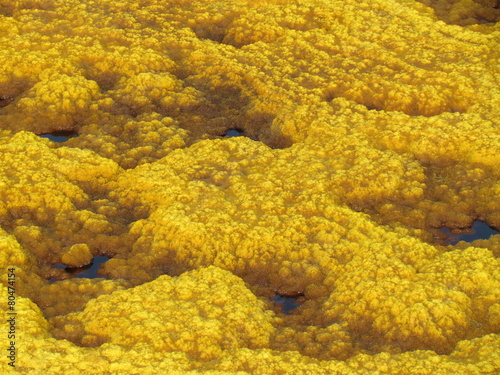 danakil depression,Dallol,Ethiopia